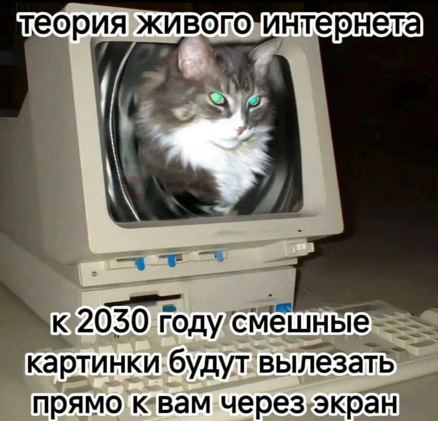 Untitled meme