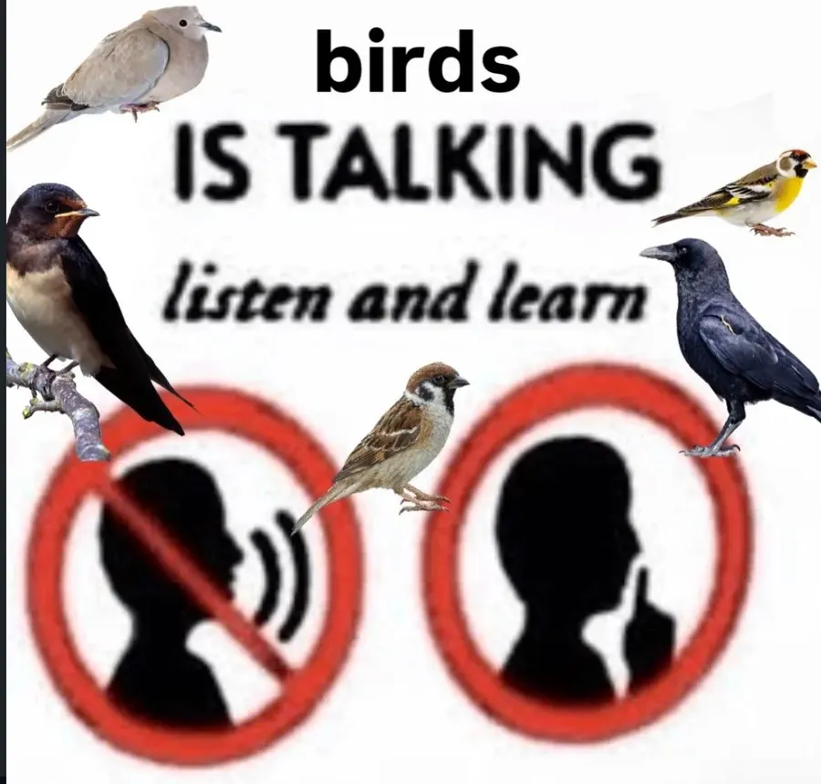 Untitled meme