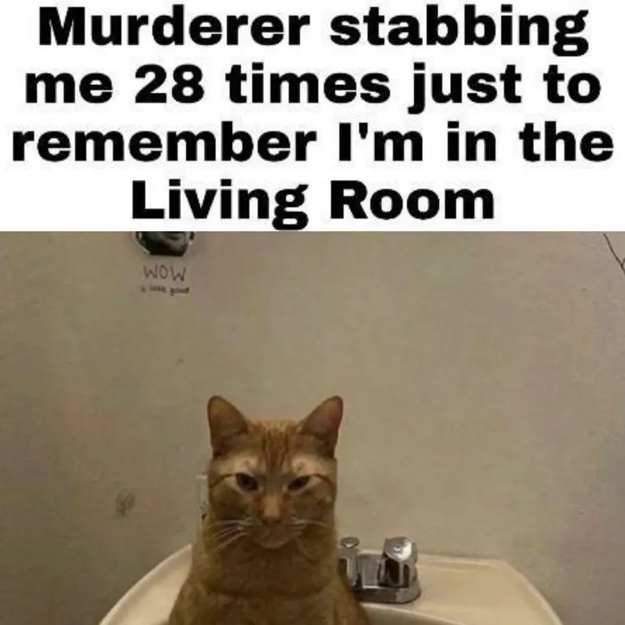 Untitled meme