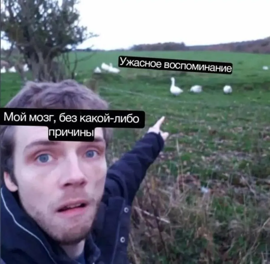 Untitled meme