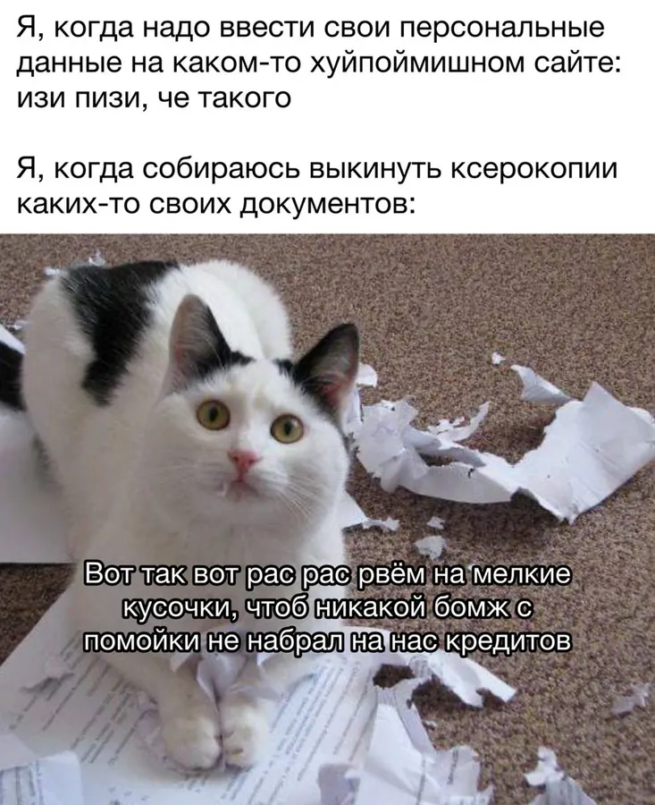 Untitled meme