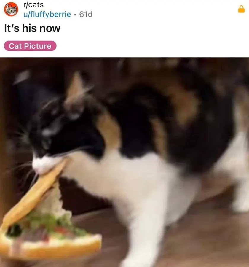 Untitled meme