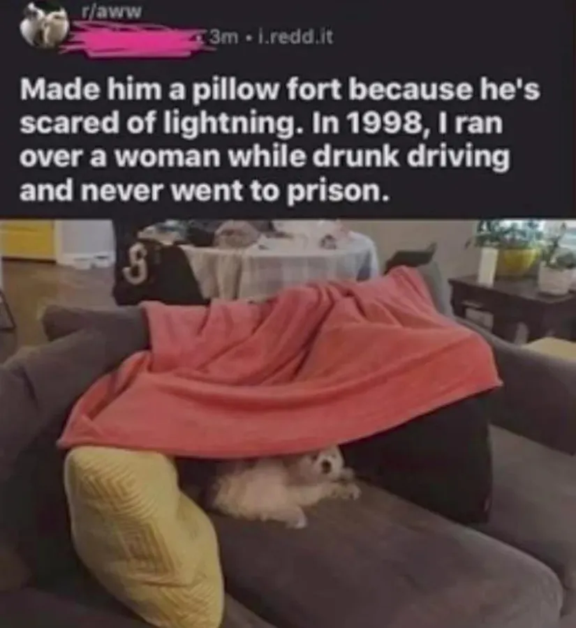 Untitled meme