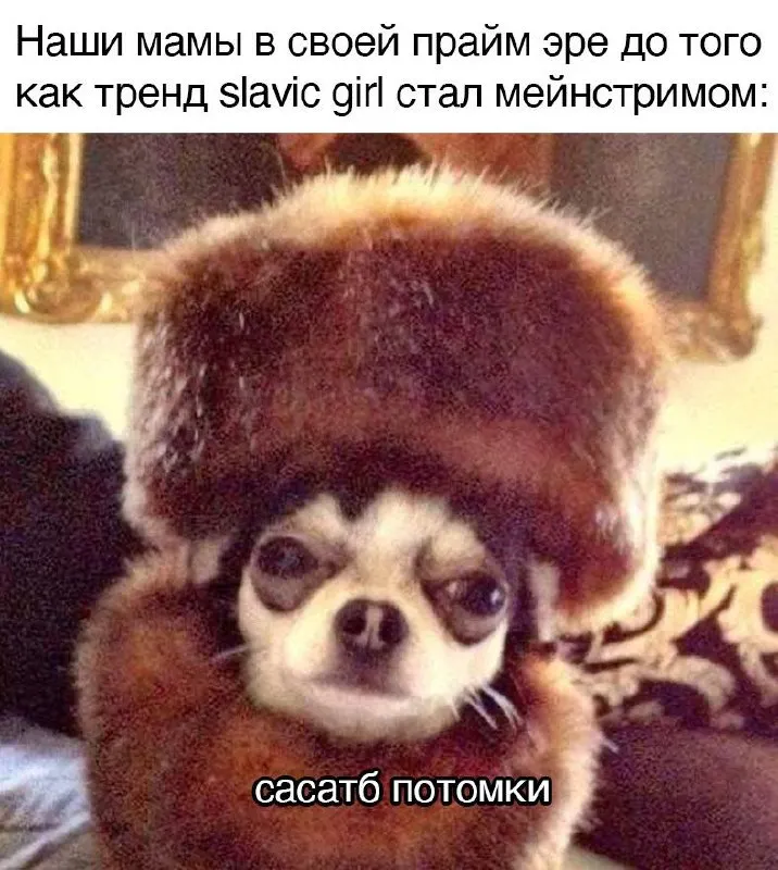 Untitled meme