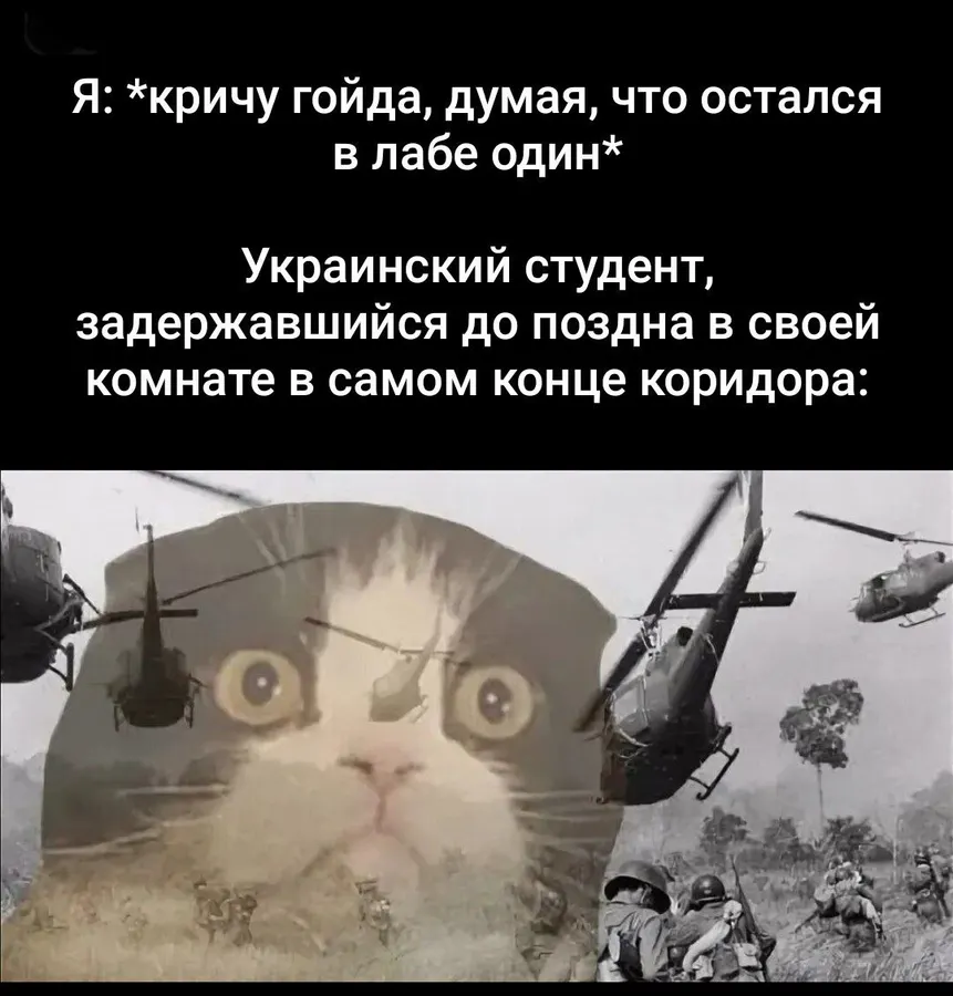 Untitled meme