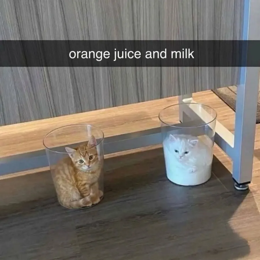 Untitled meme