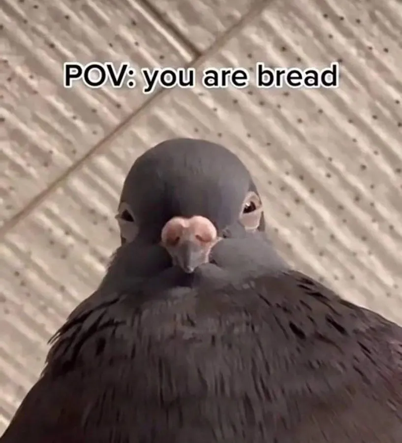 Untitled meme