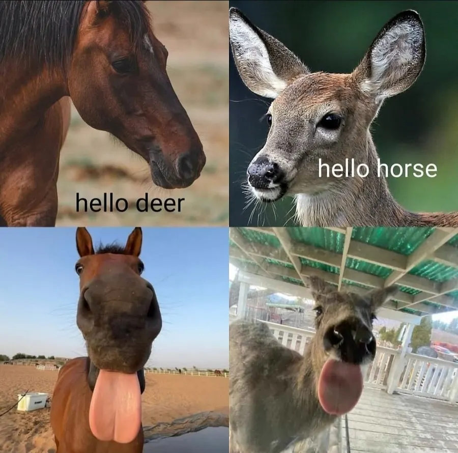 Untitled meme