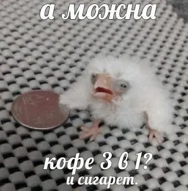 Untitled meme