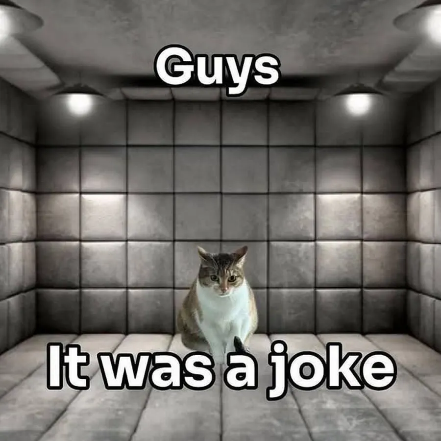 Untitled meme