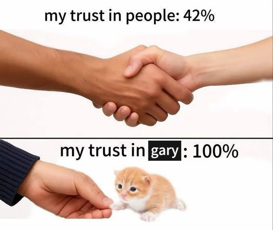 Untitled meme