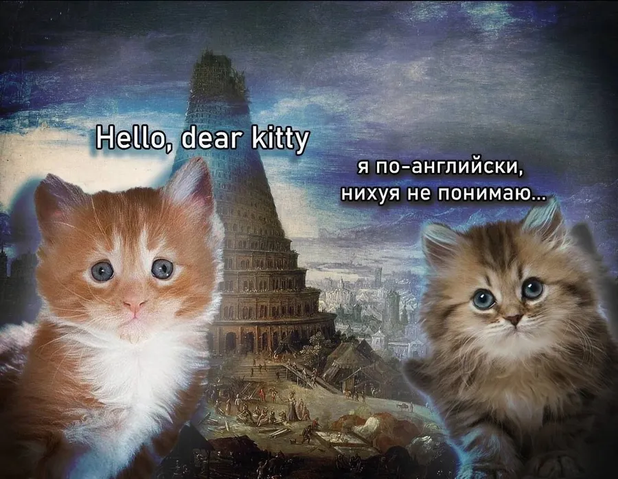 Untitled meme