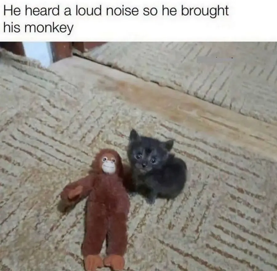 Untitled meme