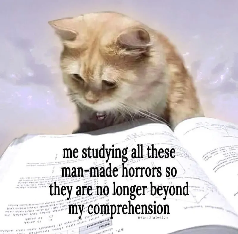 Untitled meme