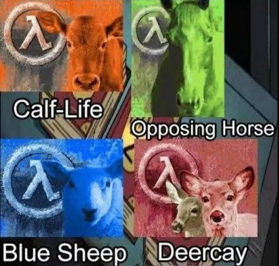 Untitled meme