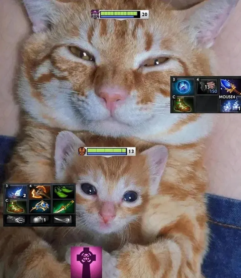 Untitled meme
