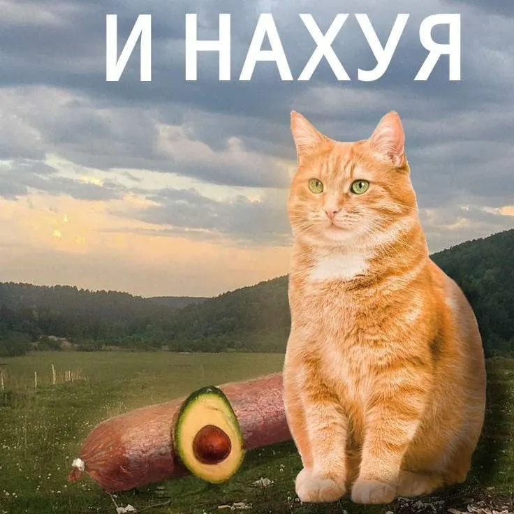 Untitled meme