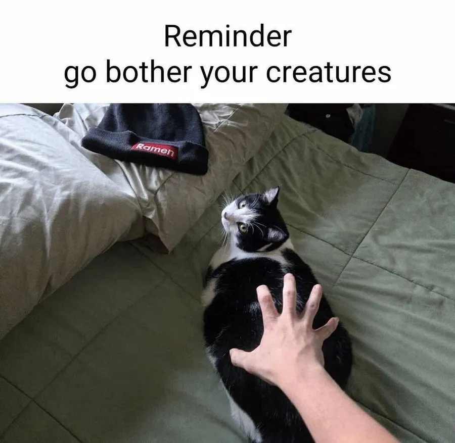 Untitled meme