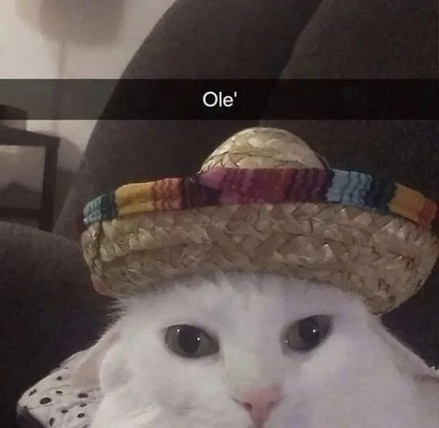 Untitled meme
