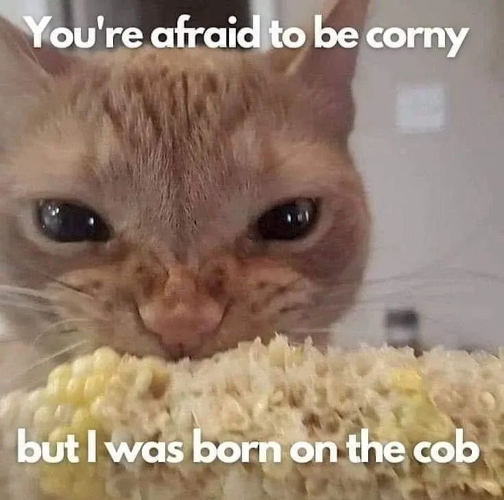 Untitled meme