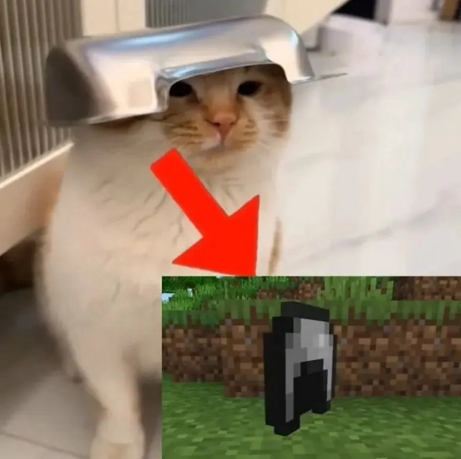 Untitled meme
