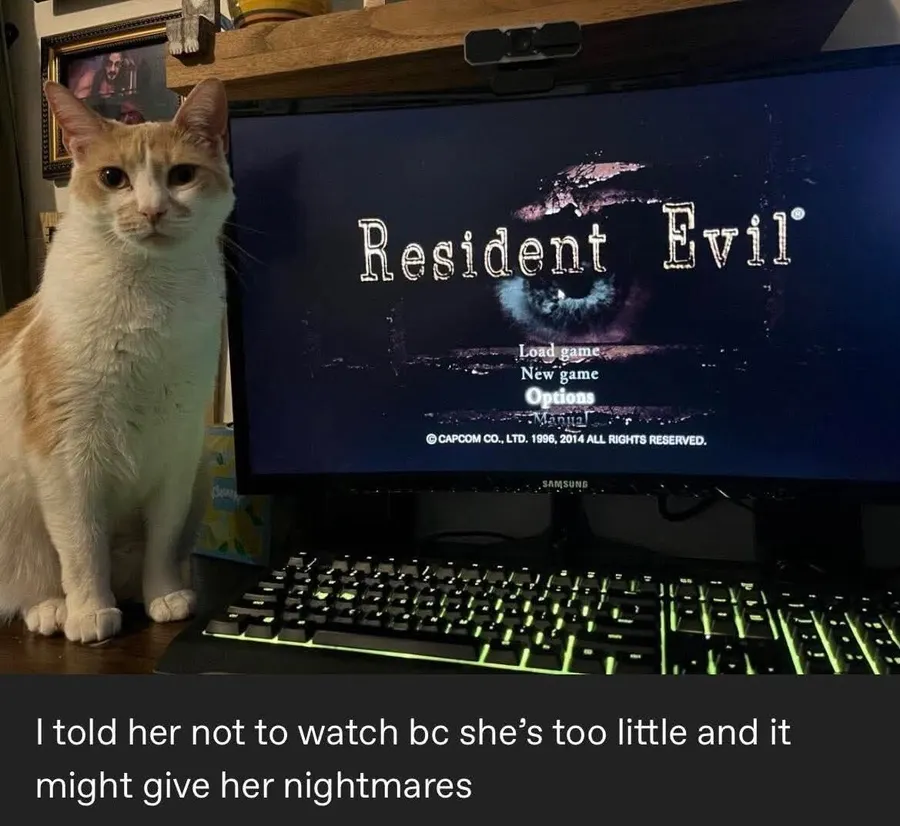 Untitled meme