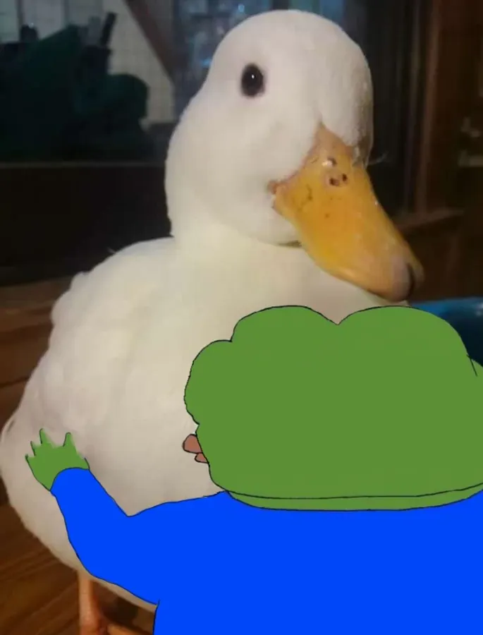 Untitled meme