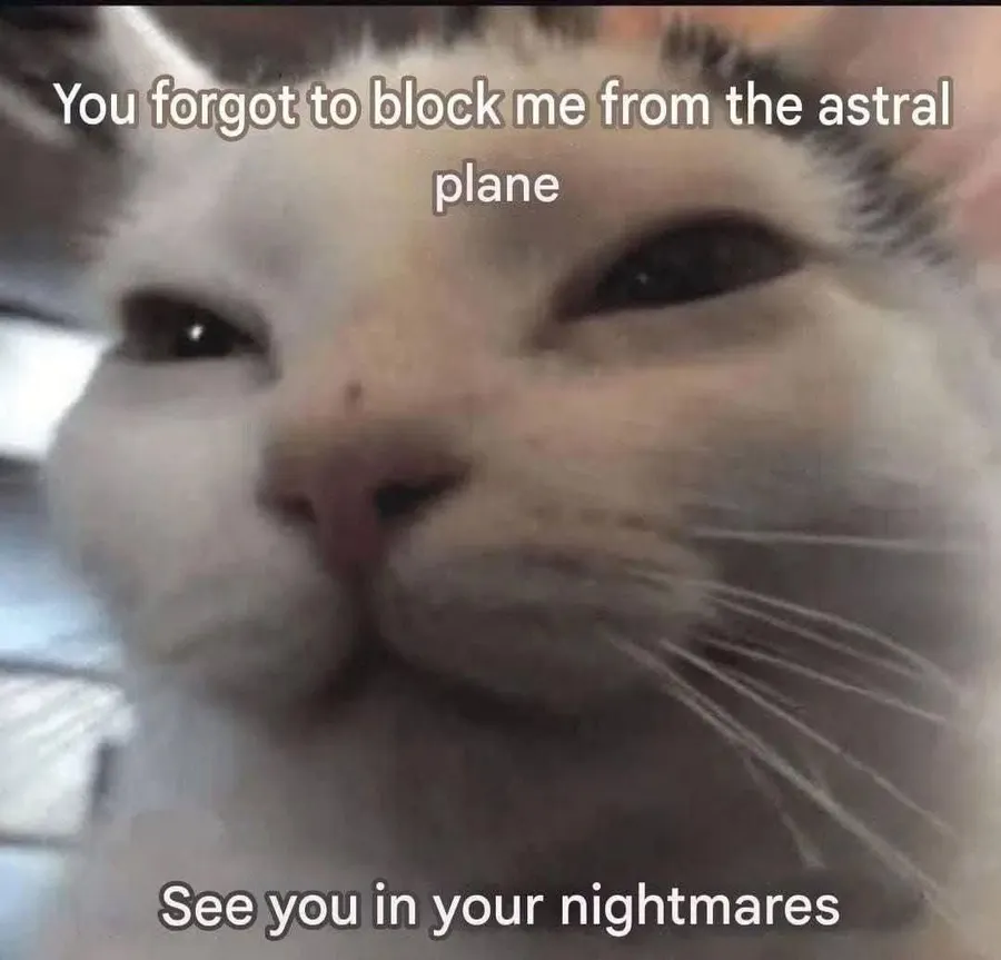 Untitled meme