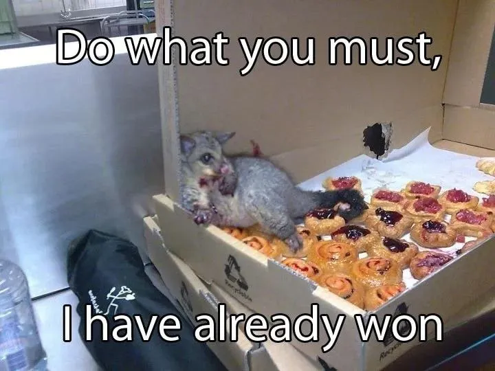 Untitled meme