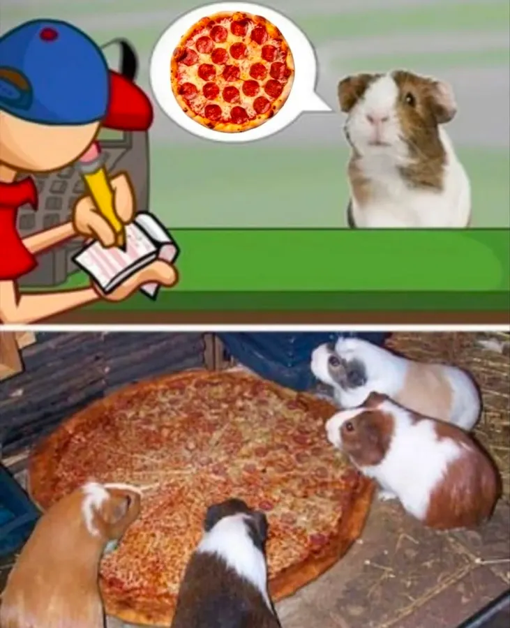 Untitled meme