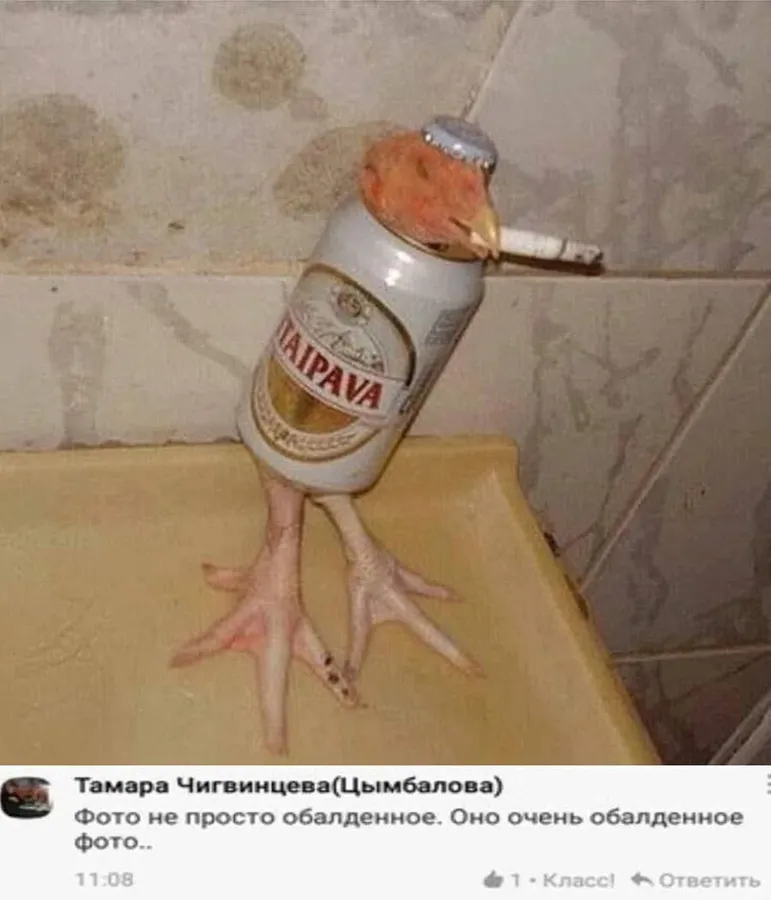 Untitled meme