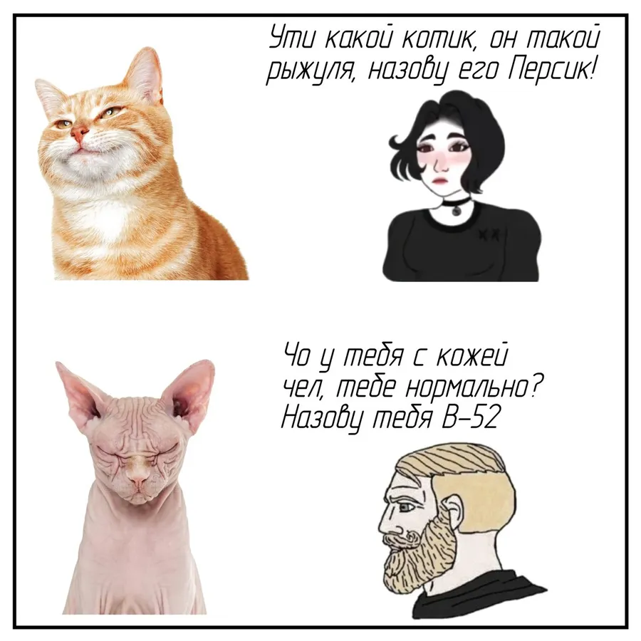 Untitled meme