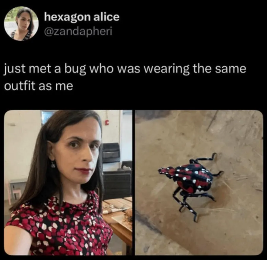 Untitled meme