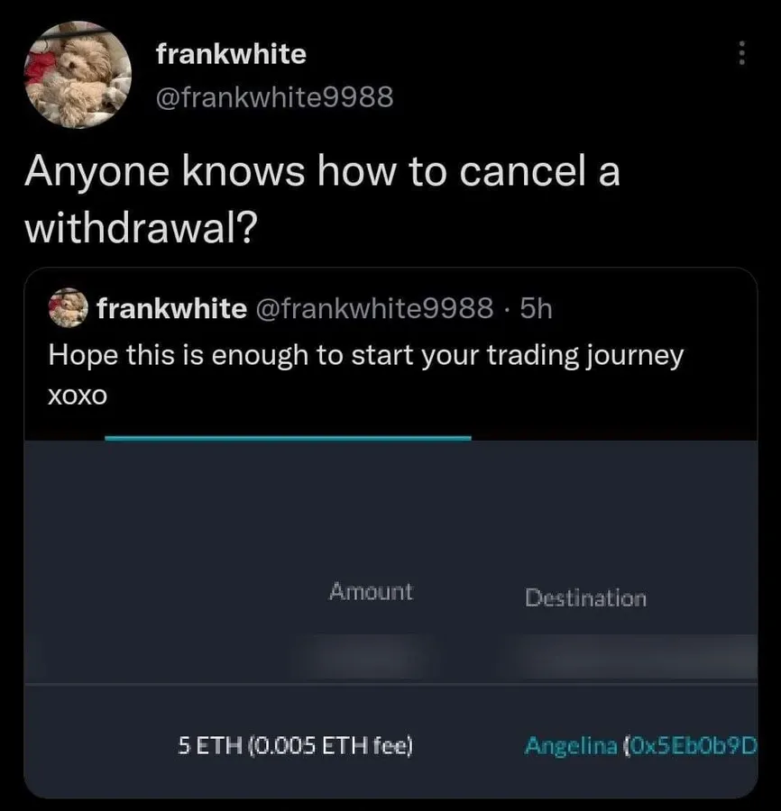Untitled meme