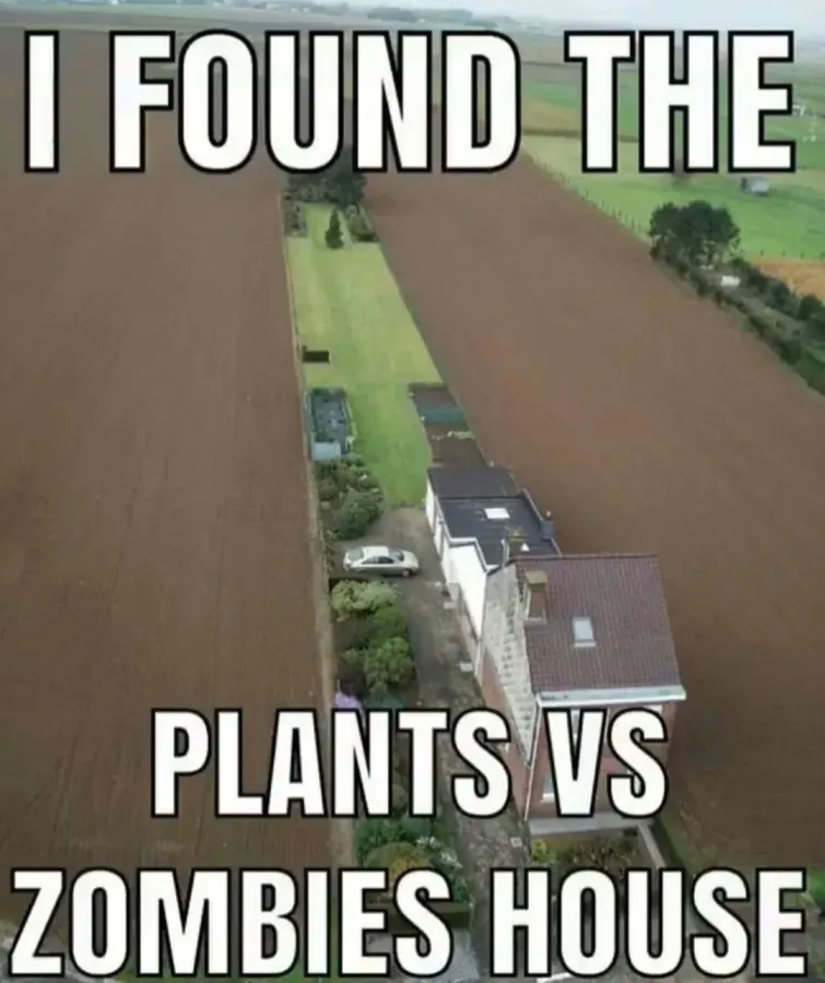 Untitled meme