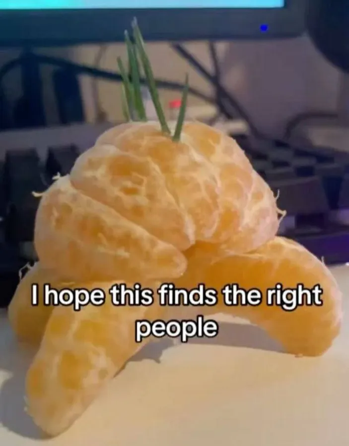 Untitled meme