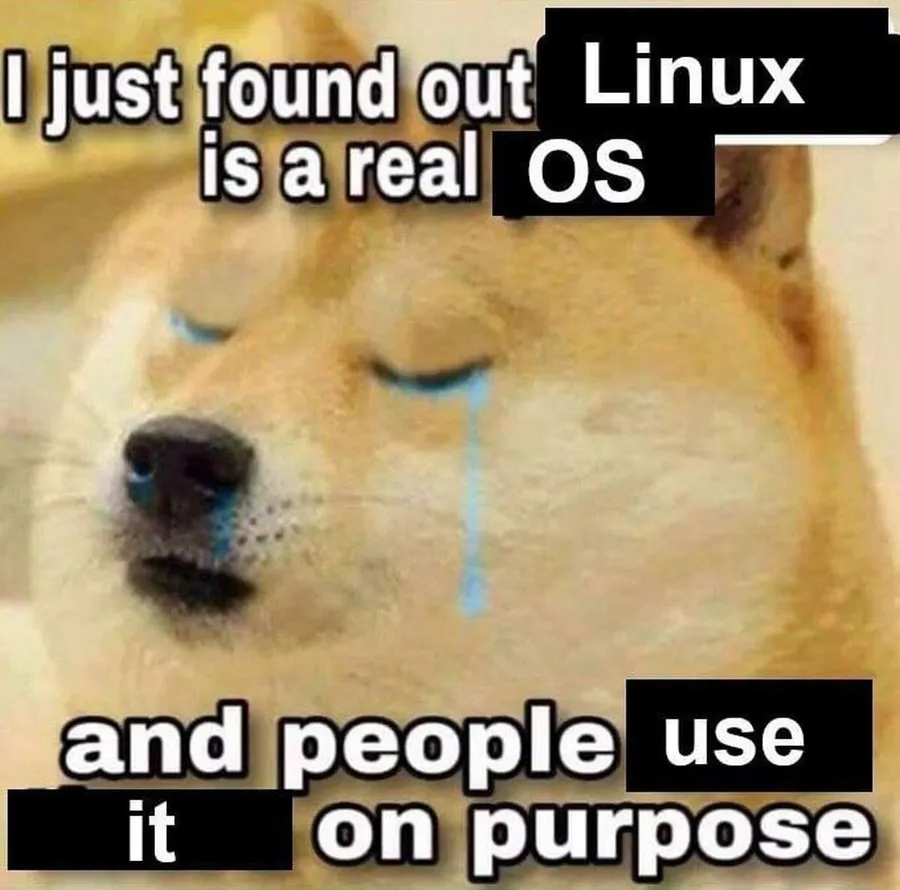 Untitled meme