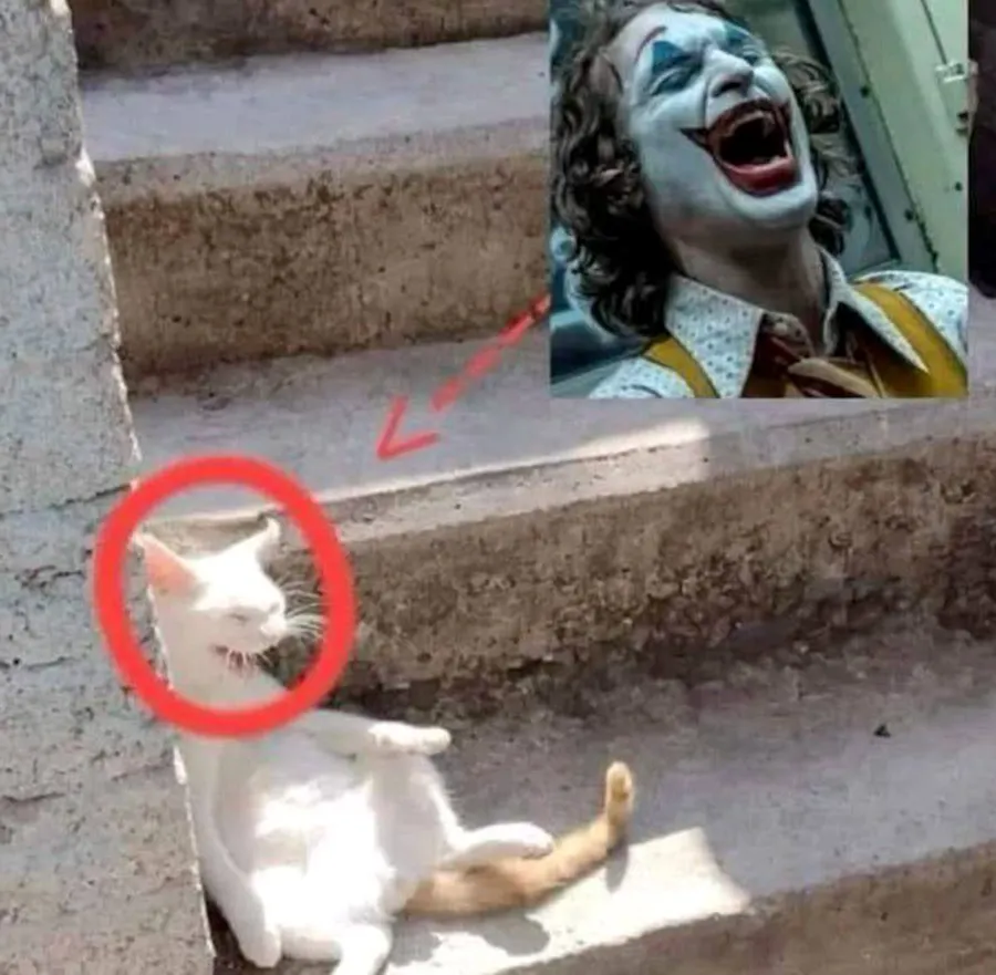 Untitled meme