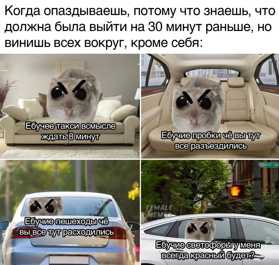 Untitled meme