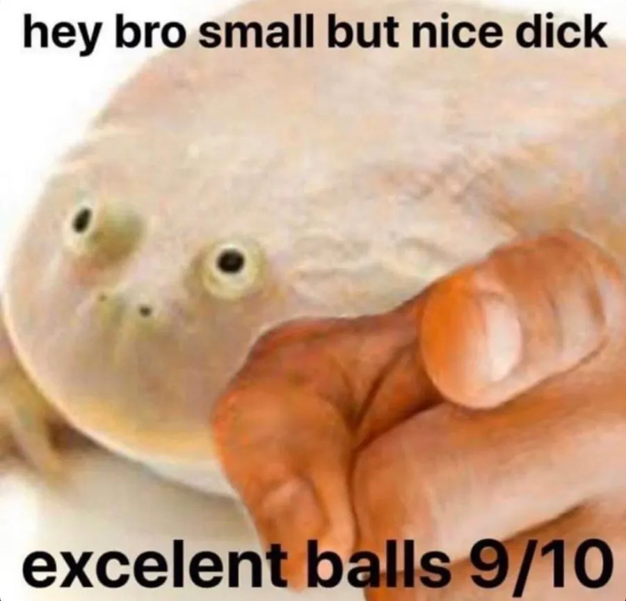 Untitled meme