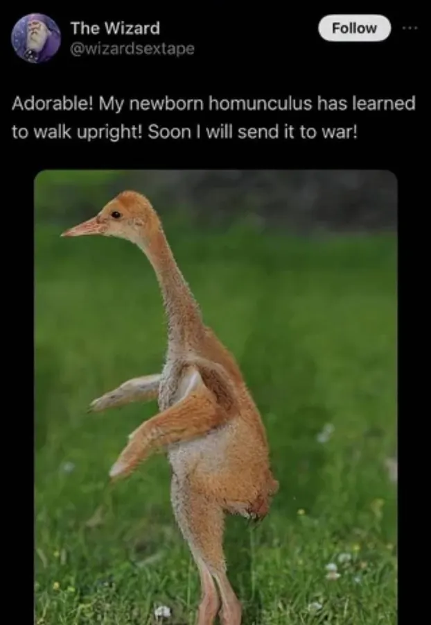 Untitled meme