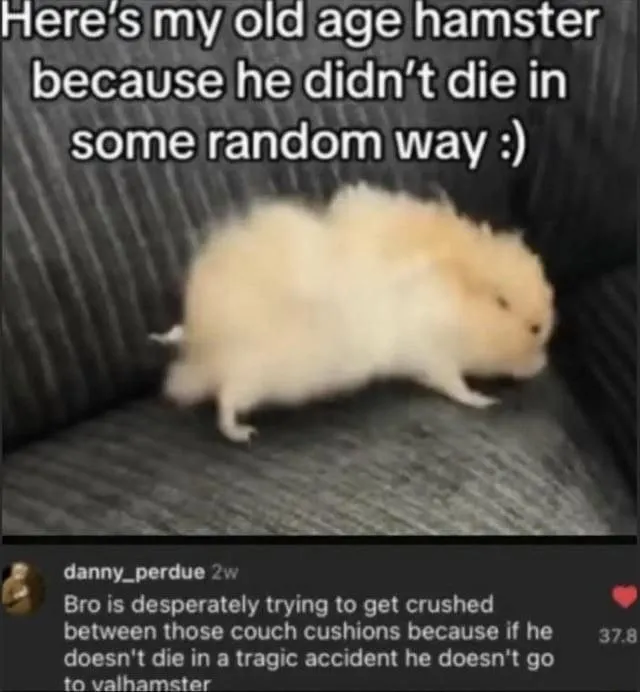 Untitled meme