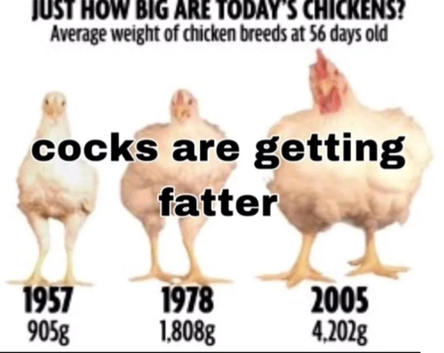 Untitled meme