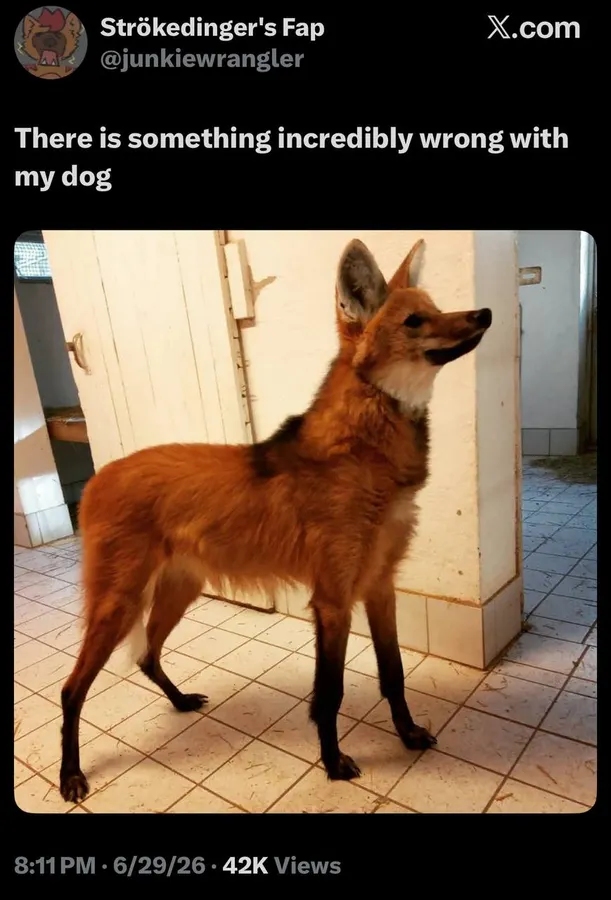 Untitled meme