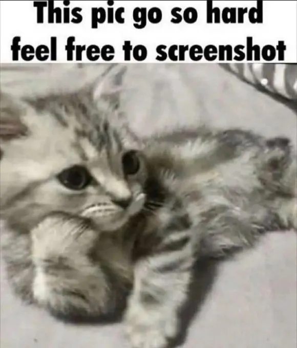 Untitled meme