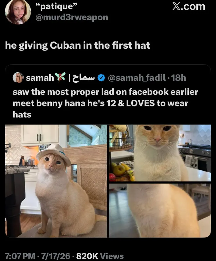 Untitled meme