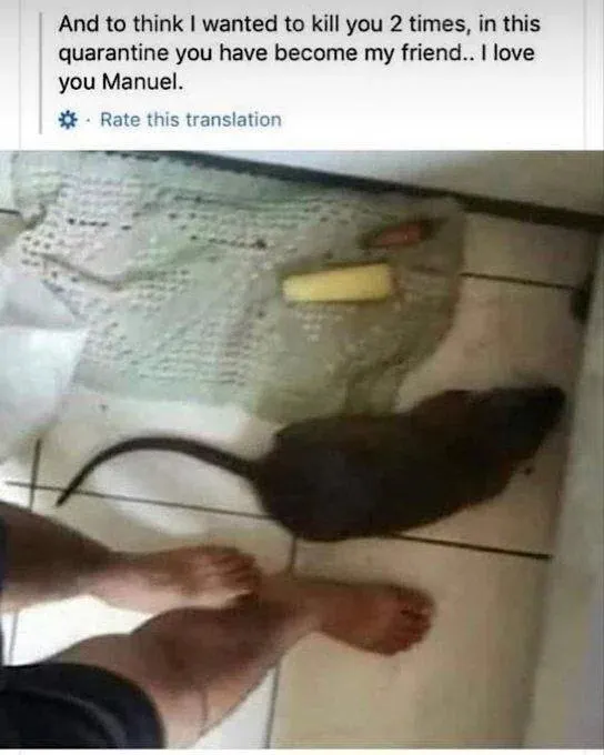 Untitled meme