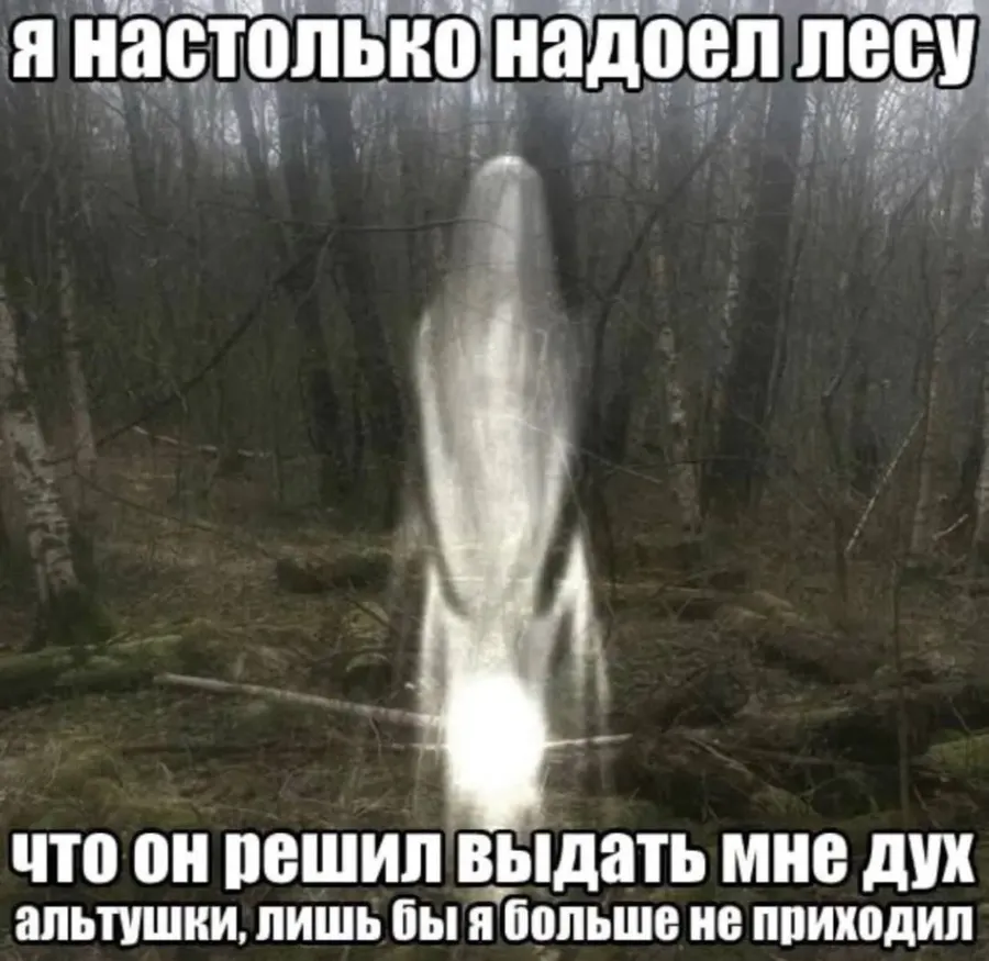 Untitled meme