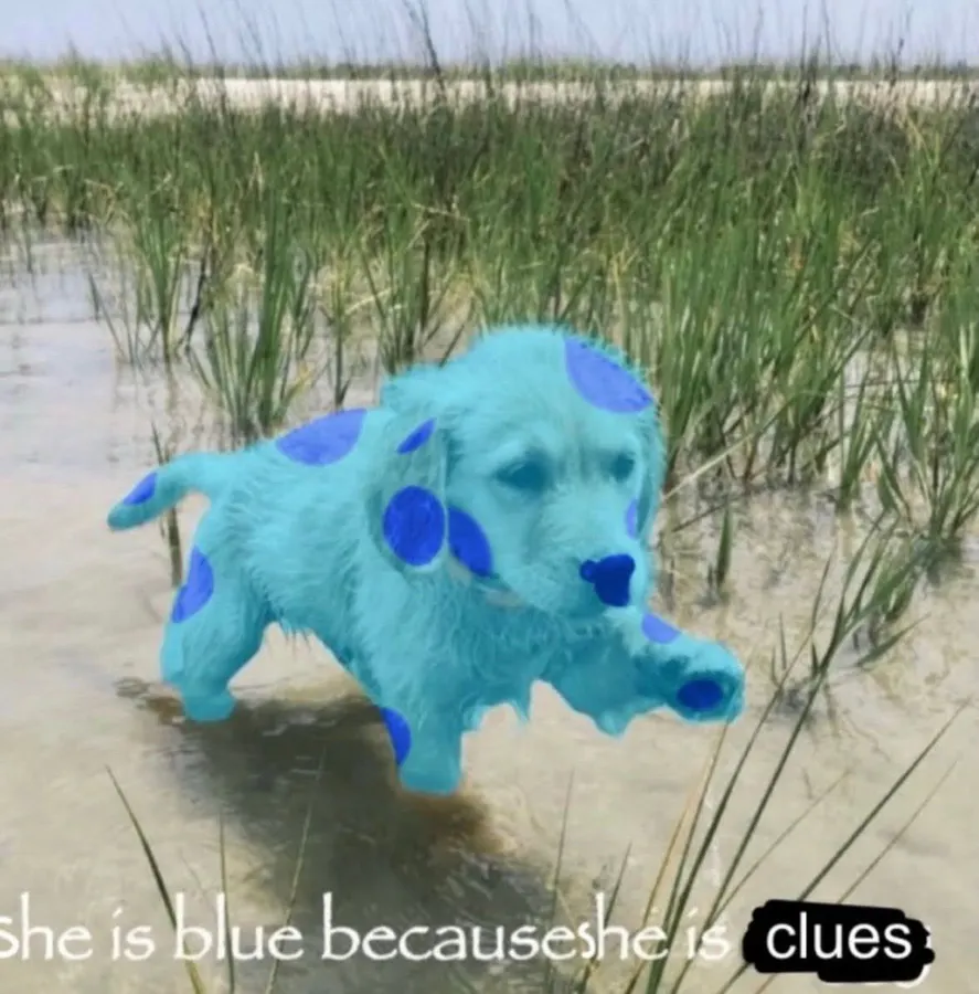 Untitled meme