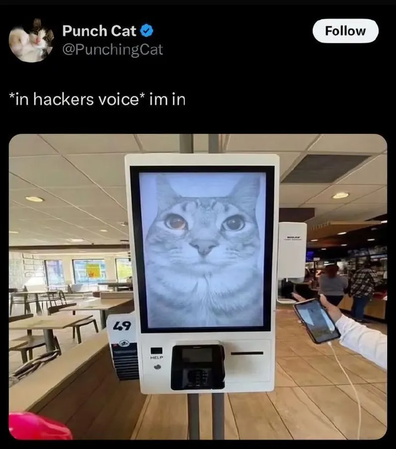 Untitled meme